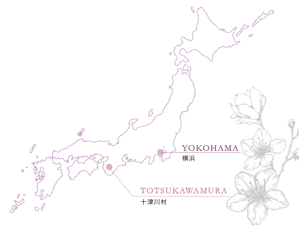 日本地図